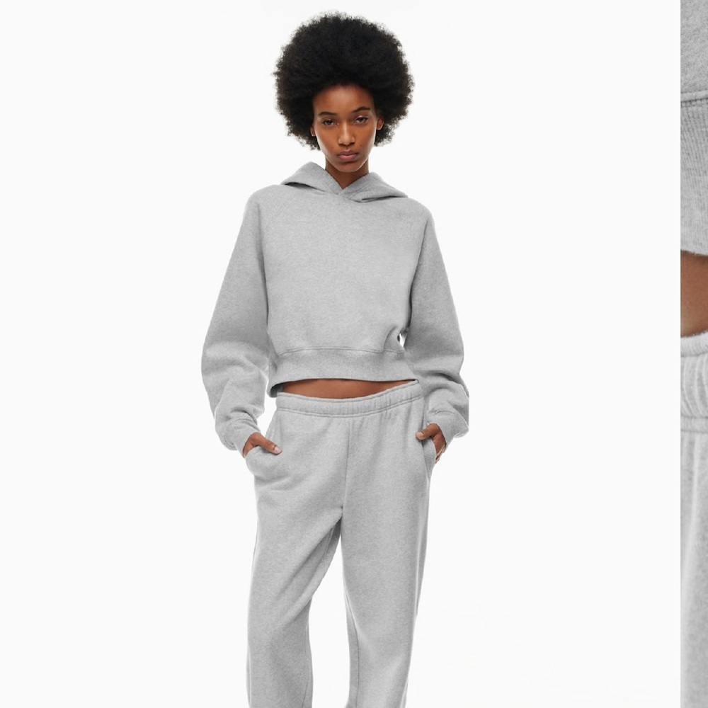 Aritzia Cozy Fleece Mega Raglan Cropped Hoodie - Picture 2 of 9
